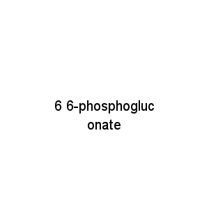 6 6-phosphogluconate